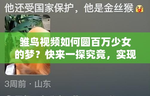 雏鸟视频如何圆百万少女的梦？快来一探究竟，实现你的少女梦想