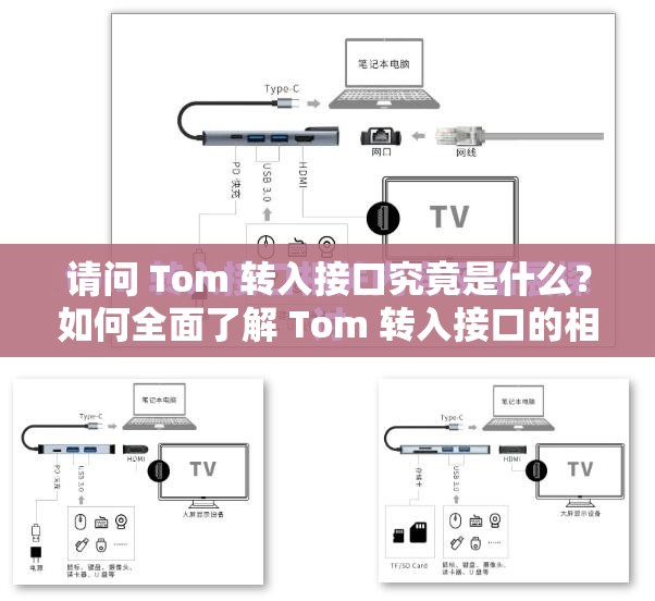 请问 Tom 转入接口究竟是什么？如何全面了解 Tom 转入接口的相关信息？