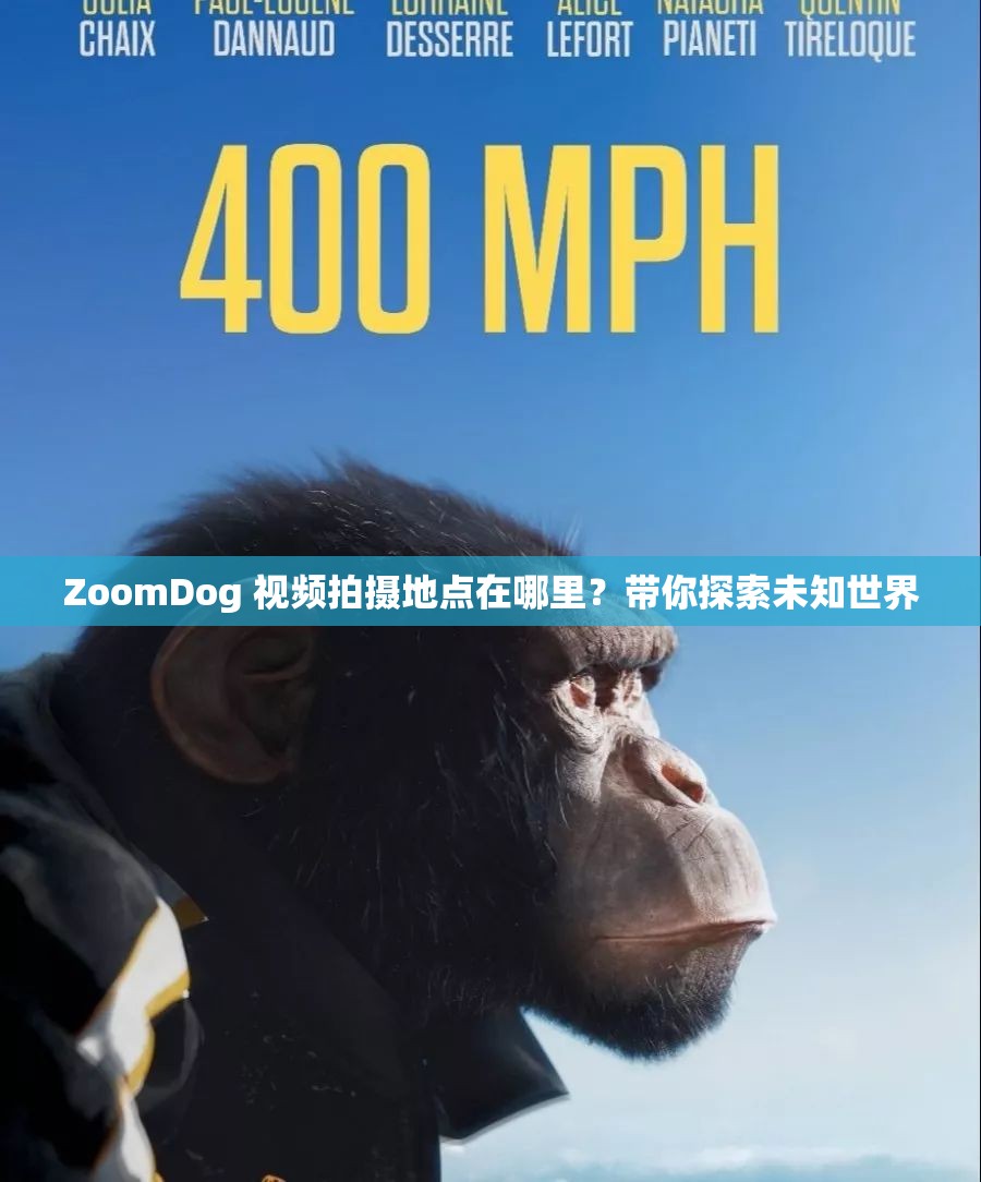 ZoomDog 视频拍摄地点在哪里？带你探索未知世界