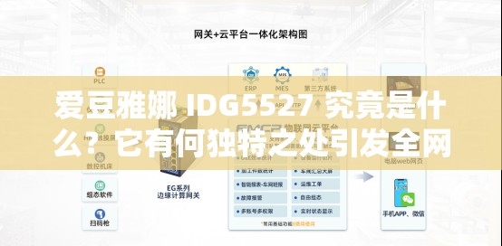 爱豆雅娜 IDG5527 究竟是什么？它有何独特之处引发全网关注？