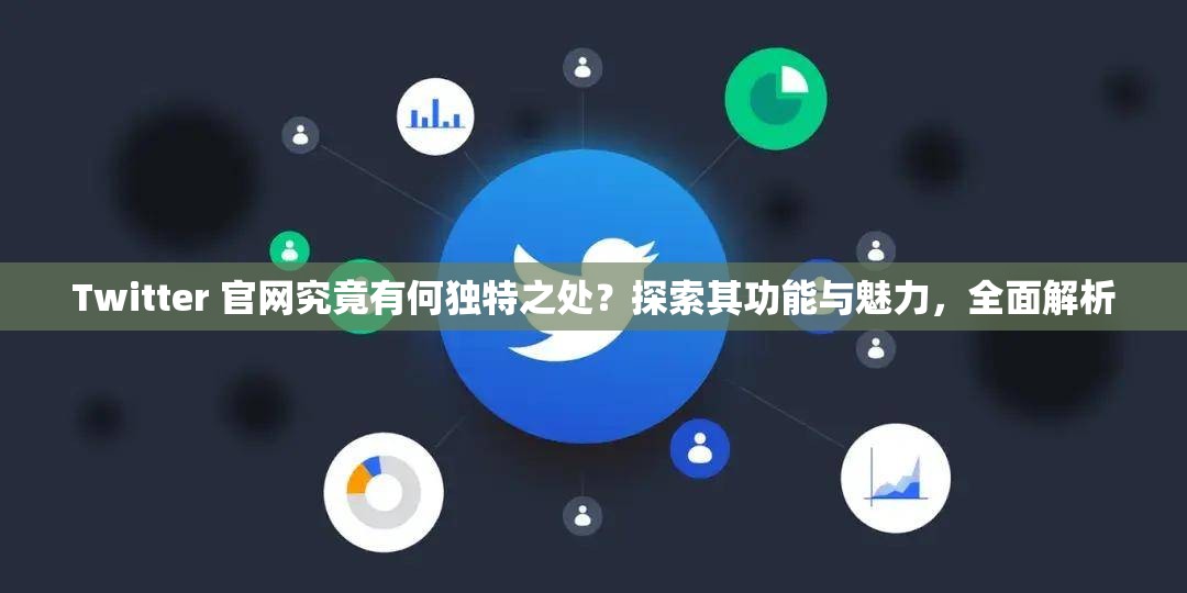 Twitter 官网究竟有何独特之处？探索其功能与魅力，全面解析