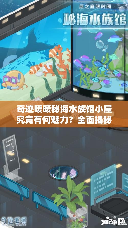 奇迹暖暖秘海水族馆小屋究竟有何魅力？全面揭秘小屋内部！