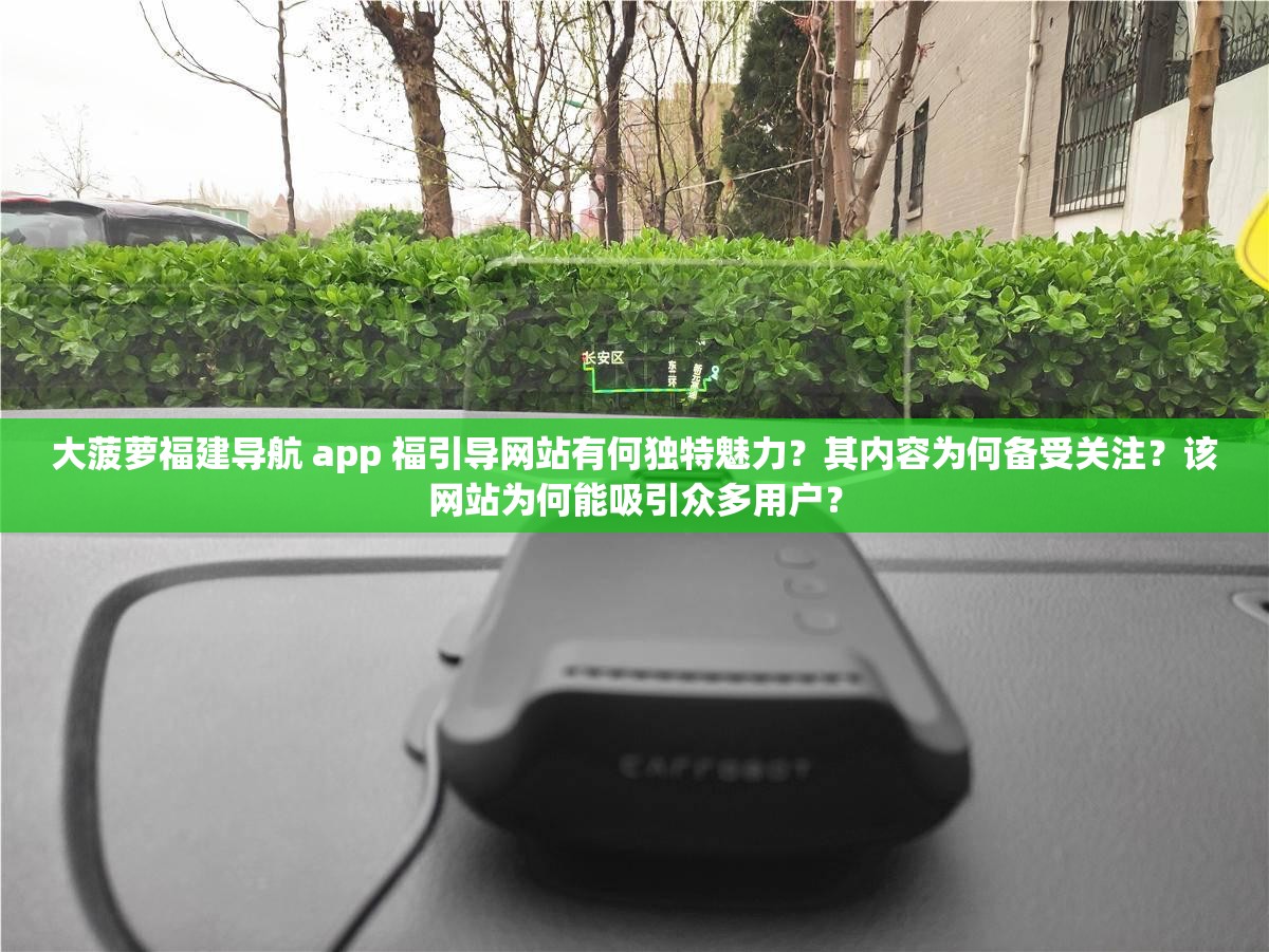 大菠萝福建导航 app 福引导网站有何独特魅力？其内容为何备受关注？该网站为何能吸引众多用户？