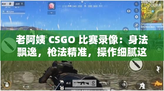 老阿姨 CSGO 比赛录像：身法飘逸，枪法精准，操作细腻这个包含了老阿姨CSGO 比赛录像等关键词，同时也比较简洁明了，符合百度 SEO 优化的要求