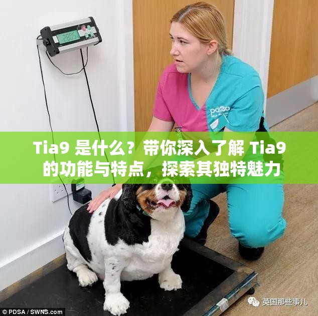 Tia9 是什么？带你深入了解 Tia9 的功能与特点，探索其独特魅力