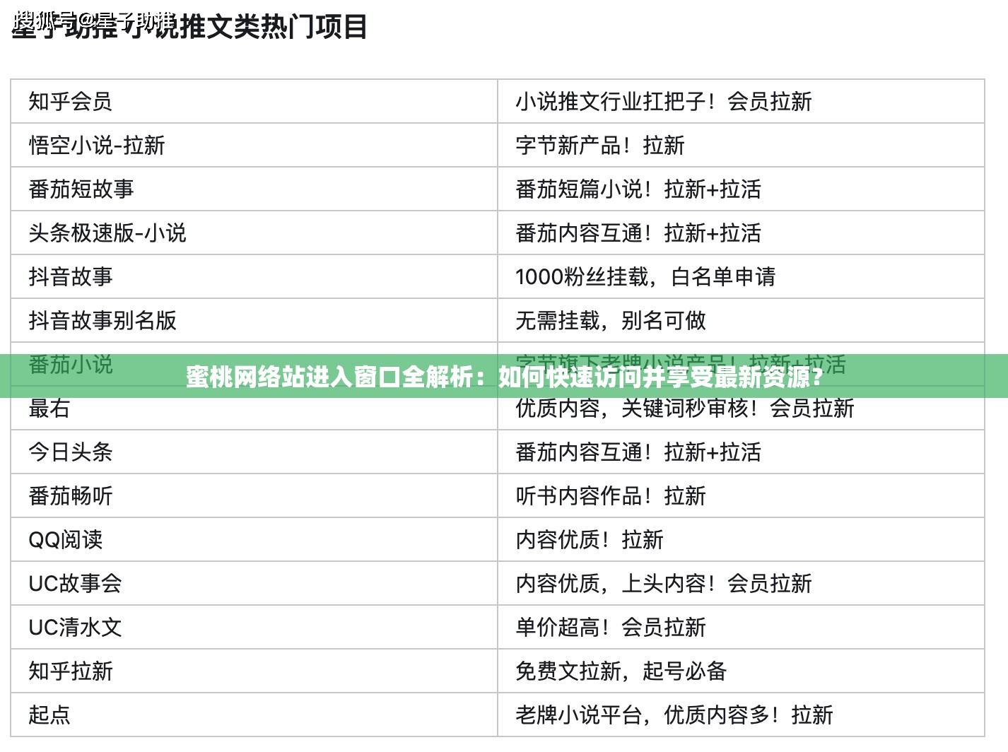 蜜桃网络站进入窗口全解析：如何快速访问并享受最新资源？