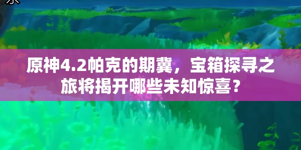 原神4.2帕克的期冀，宝箱探寻之旅将揭开哪些未知惊喜？