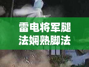 雷电将军腿法娴熟脚法高清图片集锦：展现精湛技艺与独特风格的视觉盛宴