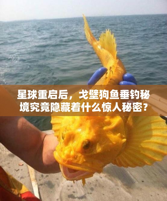 星球重启后，戈壁狗鱼垂钓秘境究竟隐藏着什么惊人秘密？