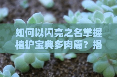 如何以闪亮之名掌握植护宝典多肉篇？揭秘玩法攻略与资源管理悬念！