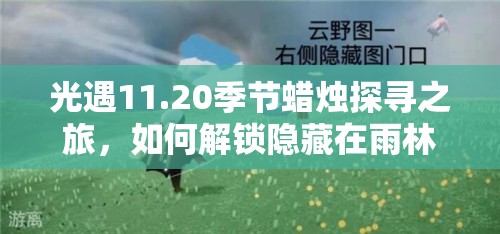 光遇11.20季节蜡烛探寻之旅，如何解锁隐藏在雨林秘境中的惊喜？