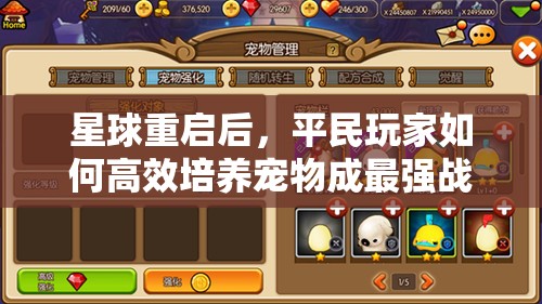 星球重启后，平民玩家如何高效培养宠物成最强战力？