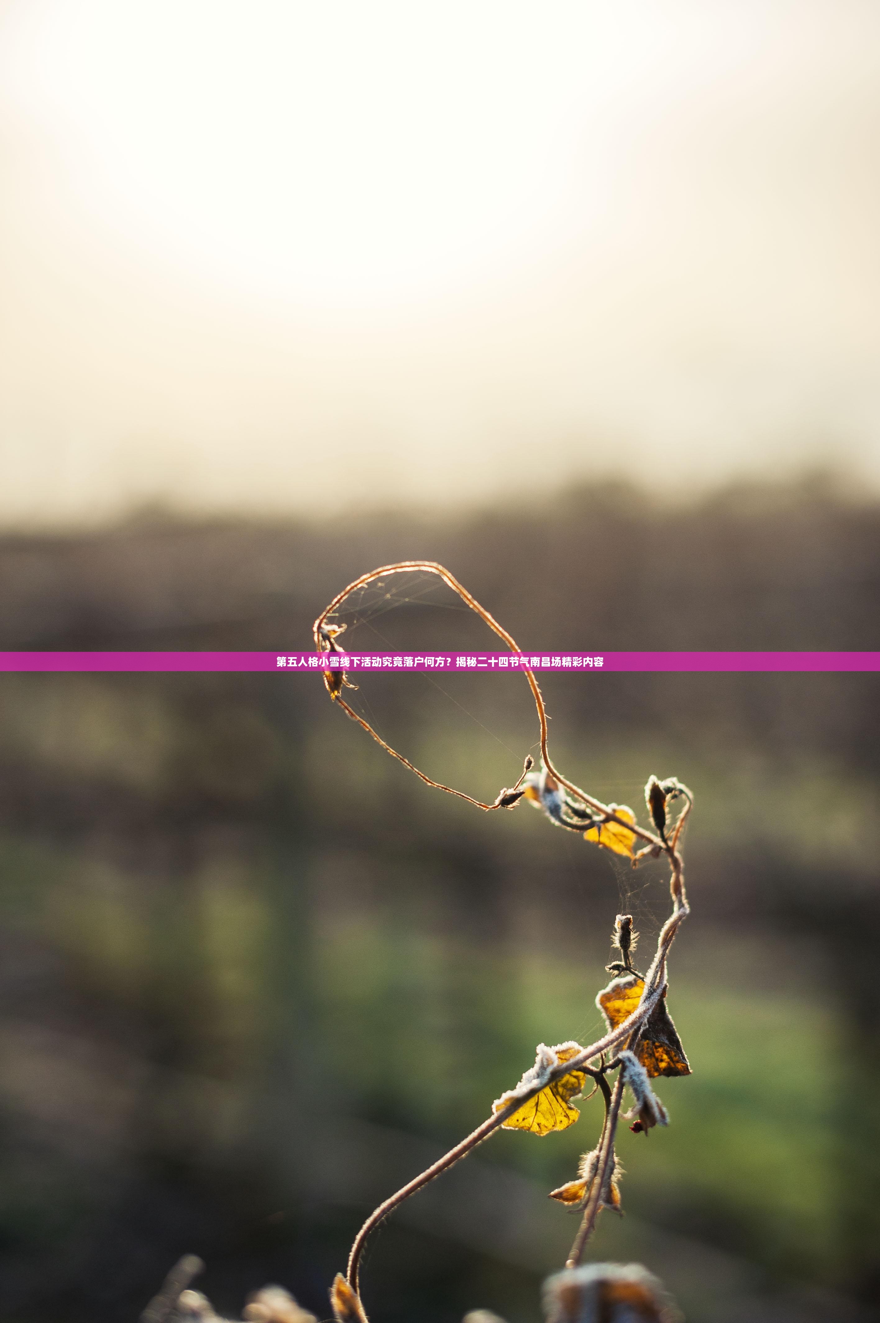 第五人格小雪线下活动究竟落户何方？揭秘二十四节气南昌场精彩内容