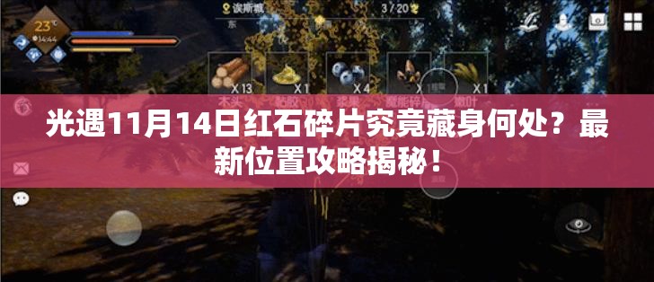 光遇11月14日红石碎片究竟藏身何处？最新位置攻略揭秘！