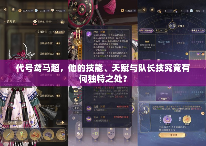 代号鸢马超，他的技能、天赋与队长技究竟有何独特之处？