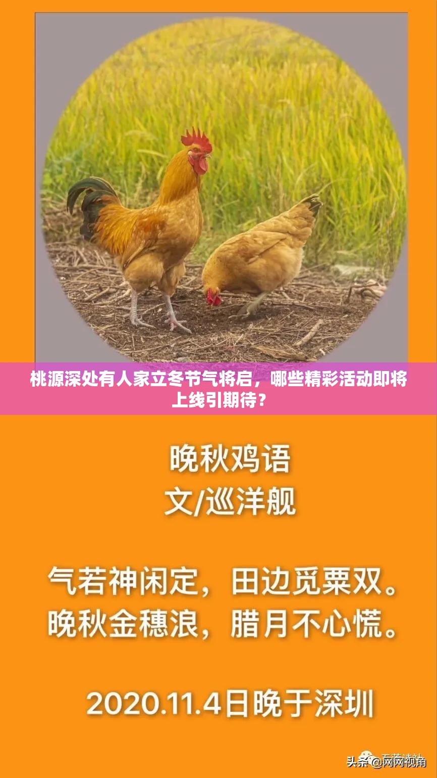 桃源深处有人家立冬节气将启，哪些精彩活动即将上线引期待？