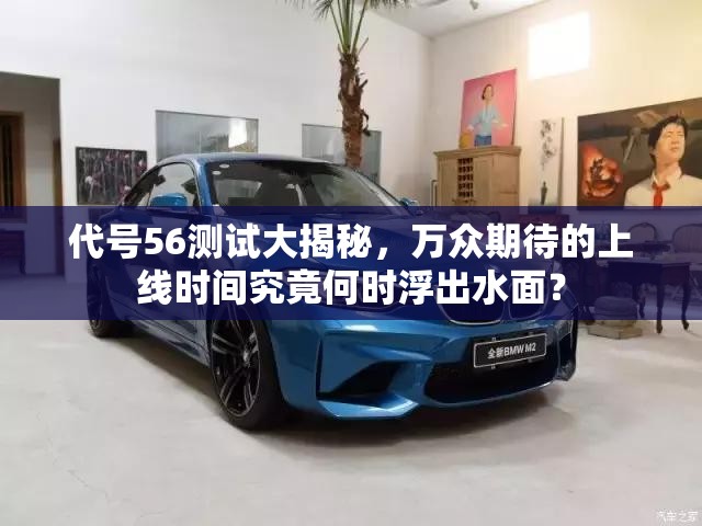 代号56测试大揭秘，万众期待的上线时间究竟何时浮出水面？