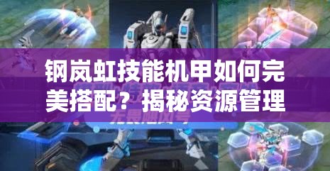 钢岚虹技能机甲如何完美搭配？揭秘资源管理的高效艺术！