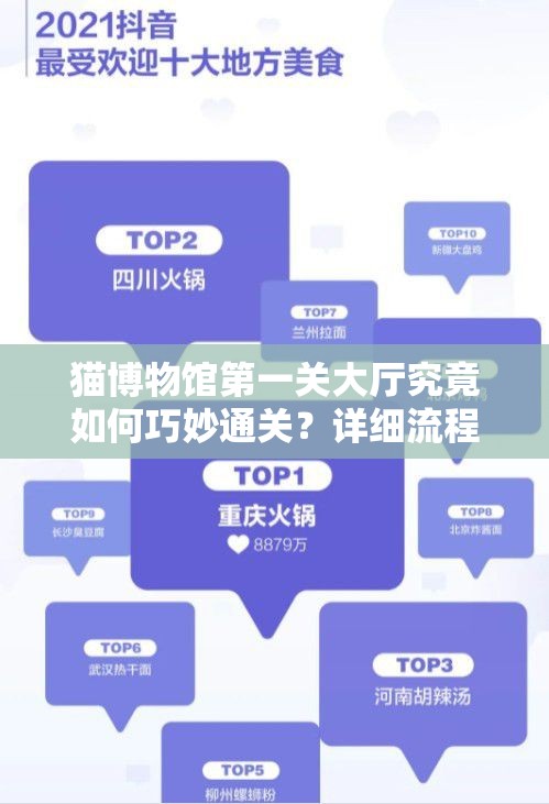 猫博物馆第一关大厅究竟如何巧妙通关？详细流程解析揭秘悬念！