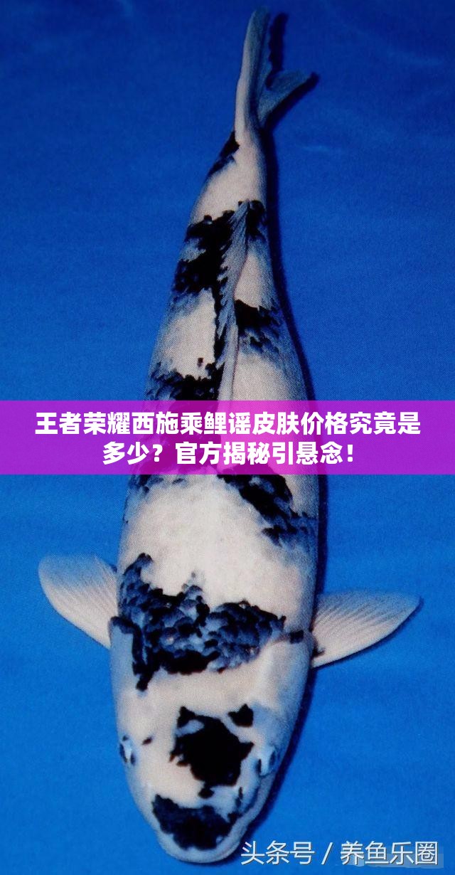 王者荣耀西施乘鲤谣皮肤价格究竟是多少？官方揭秘引悬念！