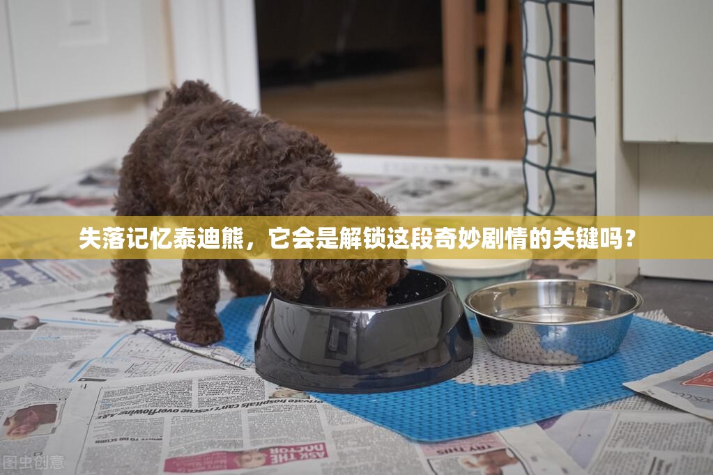 失落记忆泰迪熊，它会是解锁这段奇妙剧情的关键吗？