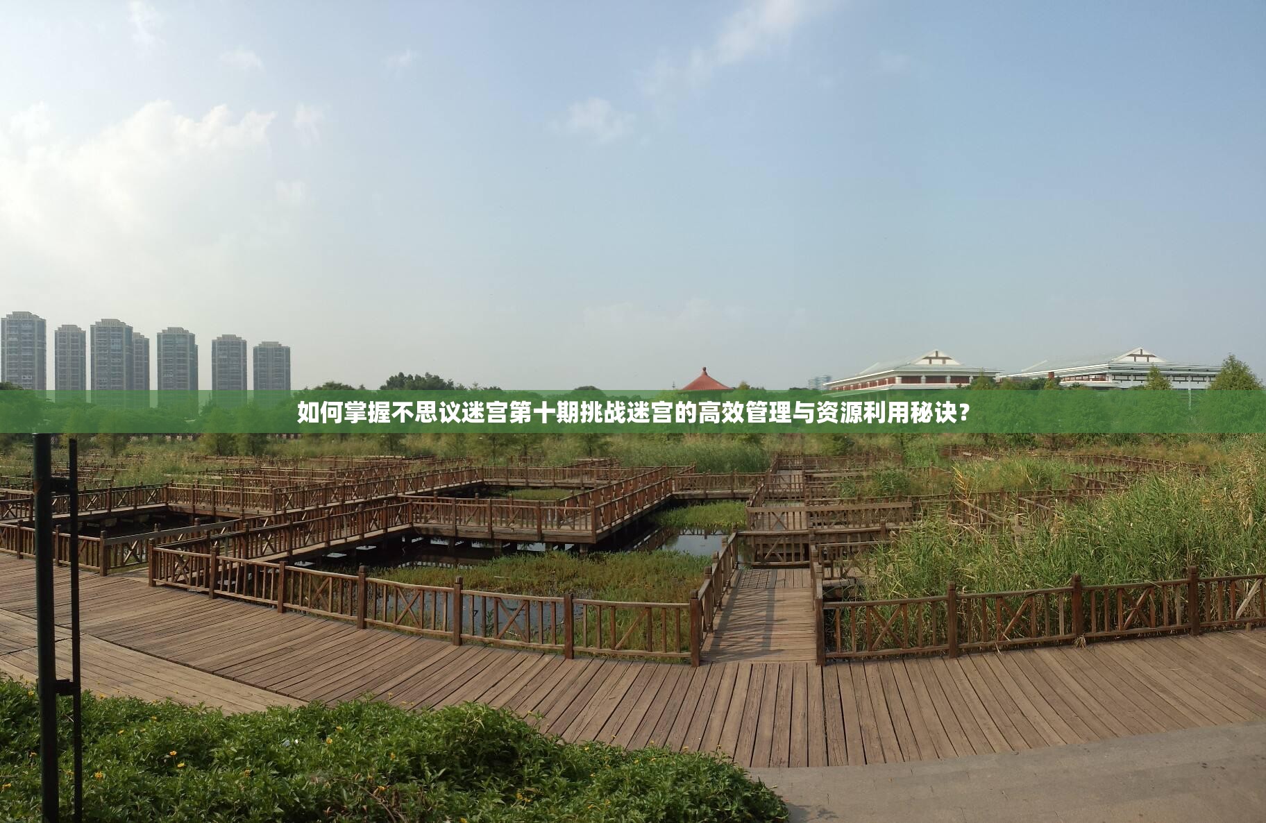 如何掌握不思议迷宫第十期挑战迷宫的高效管理与资源利用秘诀？