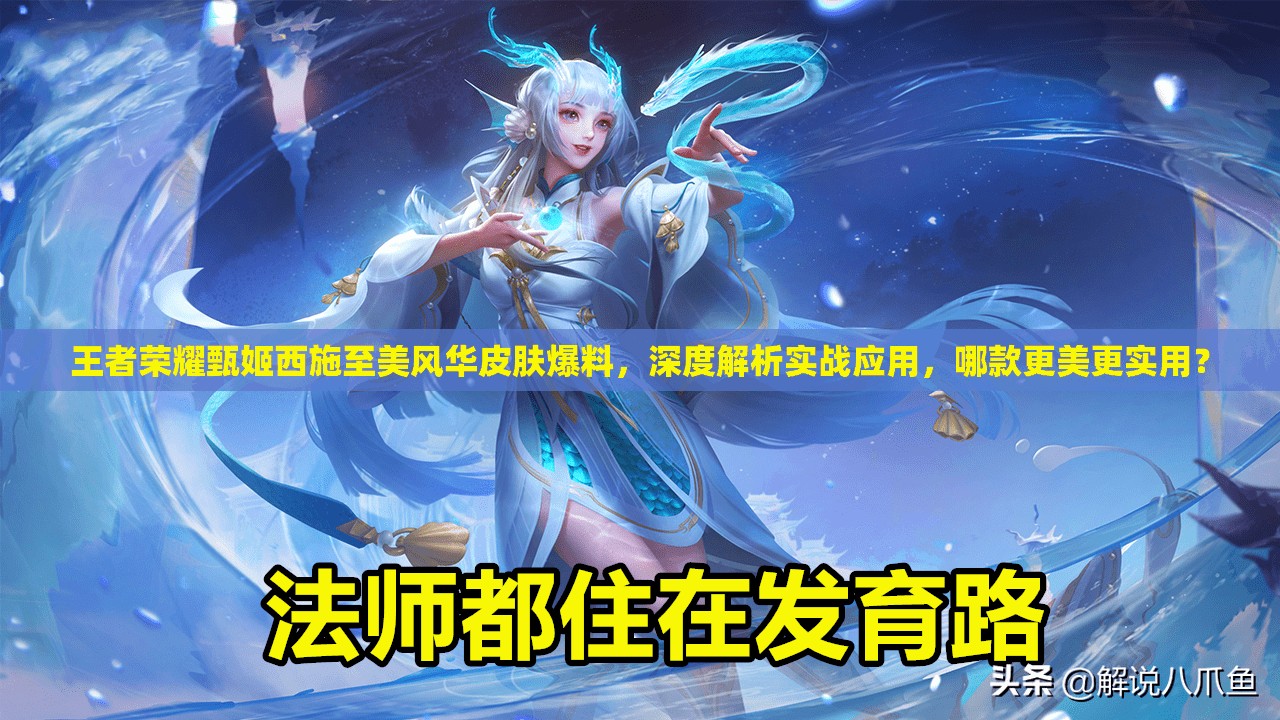 王者荣耀甄姬西施至美风华皮肤爆料，深度解析实战应用，哪款更美更实用？