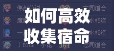 如何高效收集宿命回响主线好感度，解锁游戏深层未知体验？