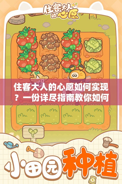 住客大人的心愿如何实现？一份详尽指南教你如何巧妙放置家具！