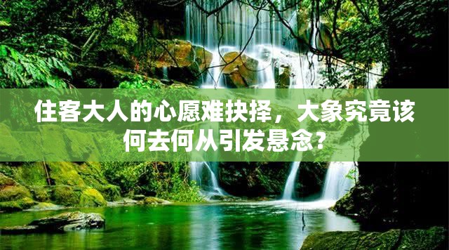 住客大人的心愿难抉择，大象究竟该何去何从引发悬念？