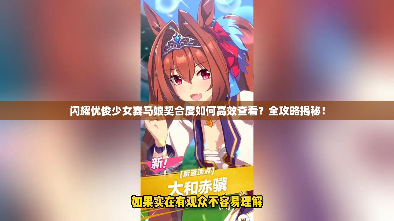 闪耀优俊少女赛马娘契合度如何高效查看？全攻略揭秘！