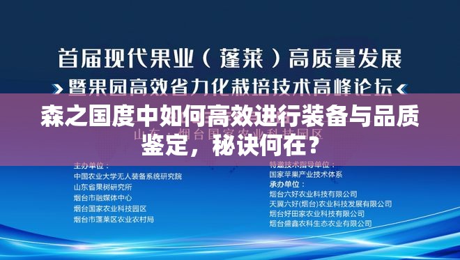 森之国度中如何高效进行装备与品质鉴定，秘诀何在？