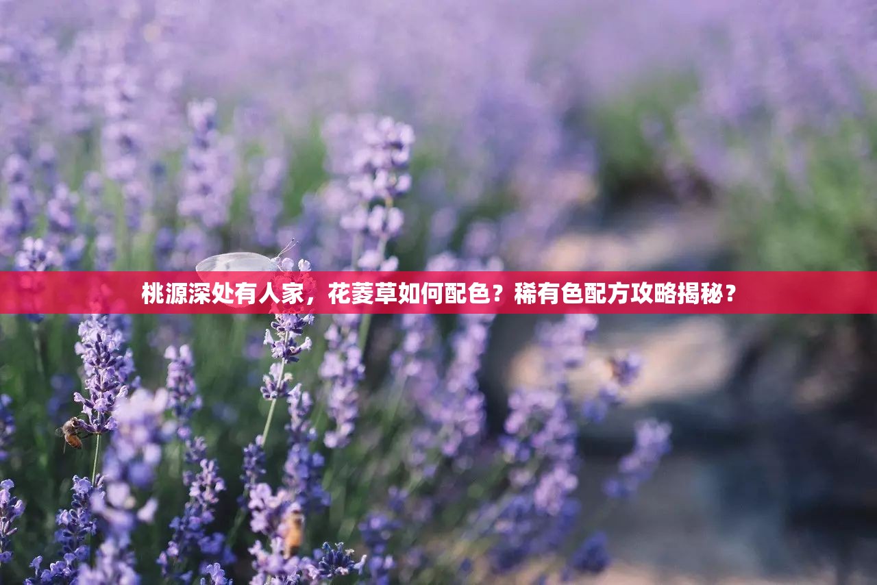 桃源深处有人家，花菱草如何配色？稀有色配方攻略揭秘？