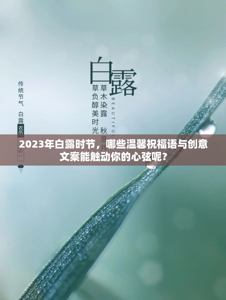 2023年白露时节，哪些温馨祝福语与创意文案能触动你的心弦呢？