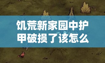 饥荒新家园中护甲破损了该怎么办？修复方法全解析！