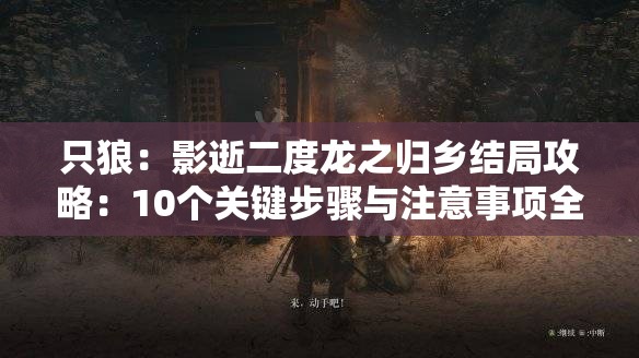 只狼：影逝二度龙之归乡结局攻略：10个关键步骤与注意事项全解析