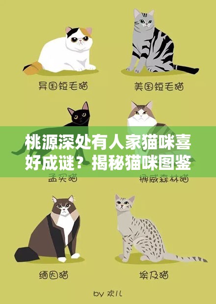 桃源深处有人家猫咪喜好成谜？揭秘猫咪图鉴的演变历史