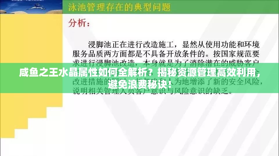 咸鱼之王水晶属性如何全解析？揭秘资源管理高效利用，避免浪费秘诀！