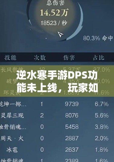 逆水寒手游DPS功能未上线，玩家如何查看并提升DPS数据？