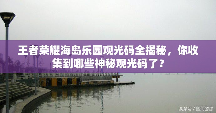 王者荣耀海岛乐园观光码全揭秘，你收集到哪些神秘观光码了？