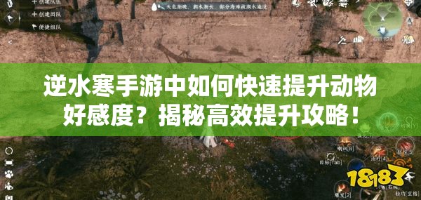 逆水寒手游中如何快速提升动物好感度？揭秘高效提升攻略！