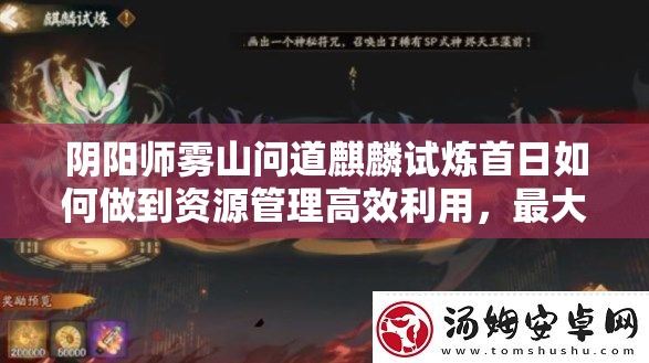 阴阳师雾山问道麒麟试炼首日如何做到资源管理高效利用，最大化价值？