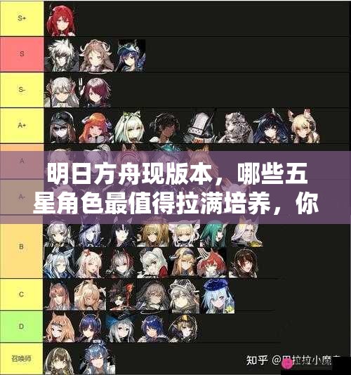 明日方舟现版本，哪些五星角色最值得拉满培养，你猜对了吗？