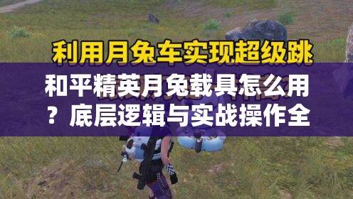和平精英月兔载具怎么用？底层逻辑与实战操作全攻略揭秘！
