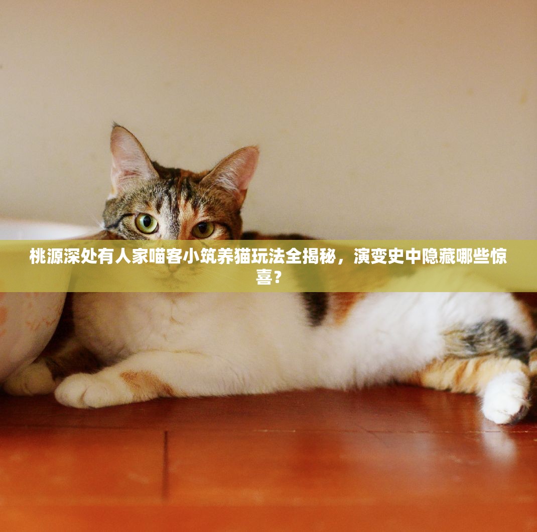 桃源深处有人家喵客小筑养猫玩法全揭秘，演变史中隐藏哪些惊喜？